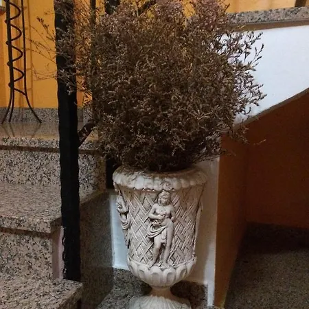Apartment Niko Skradin